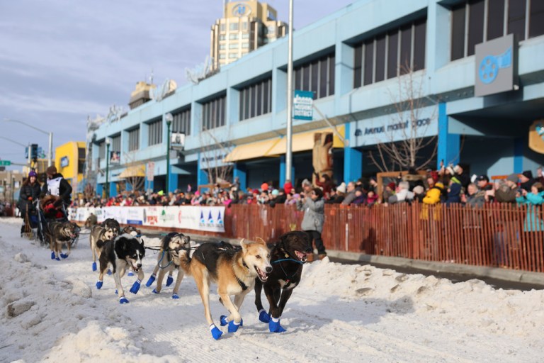 A team of dogs led by Brenda Mackey (9), of Fairbanks, Alaska, mush down Fourth Street during the Ceremonial Start of the Iditarod Trail Sled Dog Race.