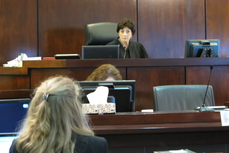 Circuit Judge Diane Goodstein.