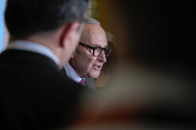 Chuck Schumer speaks during a news conference.