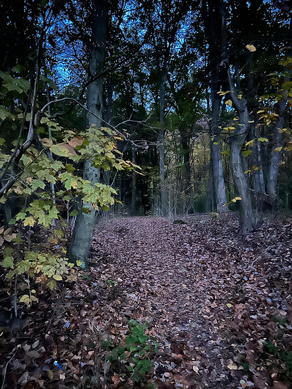 DONEGAL, PA-In Appalachian folklore people are taught at a very young age that whistling at dark is a dangerous practice a folklore rooted in Native American legends. (photo Shannon Vendetti for The Washington Examiner.)