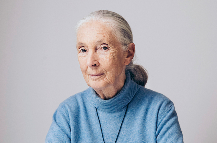 Jane Goodall, 1934-2025