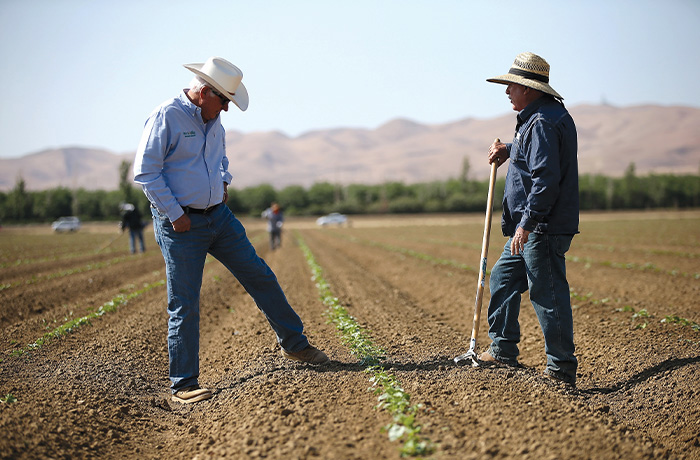 Two farmers talk in a field.