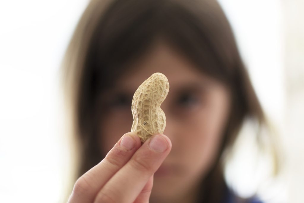 Peanut allergies plunged after reversal of guidance on infant exposure, study finds
