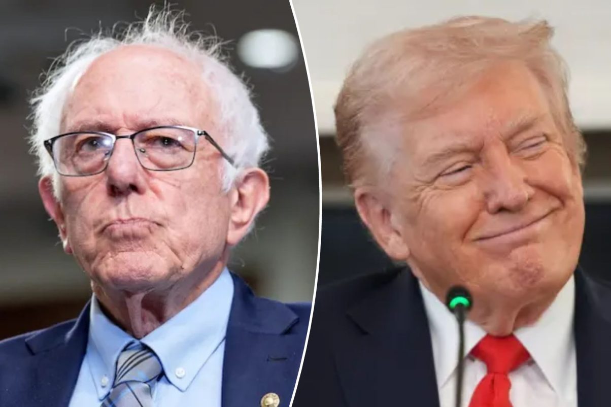 Bernie Sanders admits ‘Trump did better’ on the border than Biden
