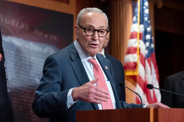 Senate Minority Leader Chuck Schumer (D-NY) speaks during a news conference.