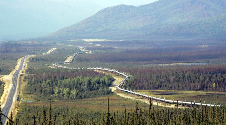 The trans-Alaska pipeline is seen next to the Dalton Highway north of Fairbanks, Alaska.