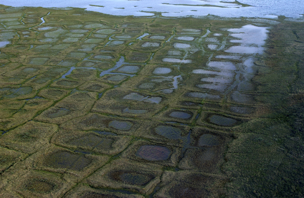 First Trump oil and gas lease sale for Alaska’s North Slope draws ‘historic’ bidding