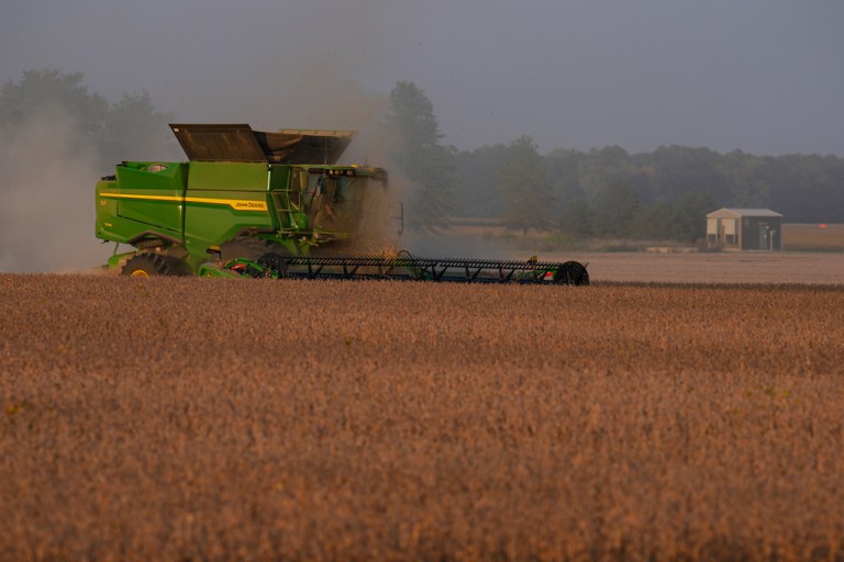 Tractor harvesting soybeans.