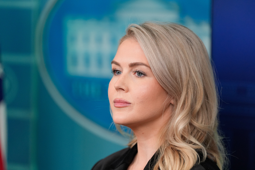 ICE arrest of Karoline Leavitt’s relative reveals pervasiveness of visa overstayers