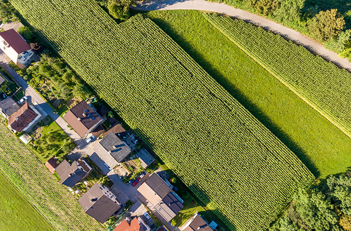 The ground beneath our feet: Review of ‘The Land Trap’ by Mike Bird
