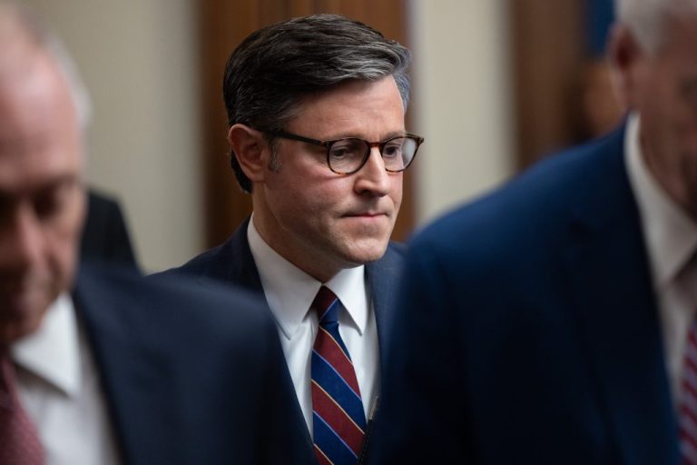 House Speaker Mike Johnson (R-LA).