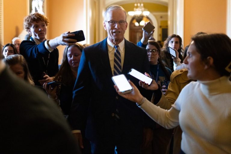 Senate Majority Leader John Thune (R-SD).