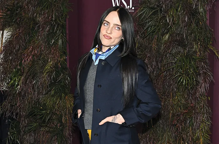 Billie Eilish in New York on Oct. 29. (Evan Agostini/Invision/AP)