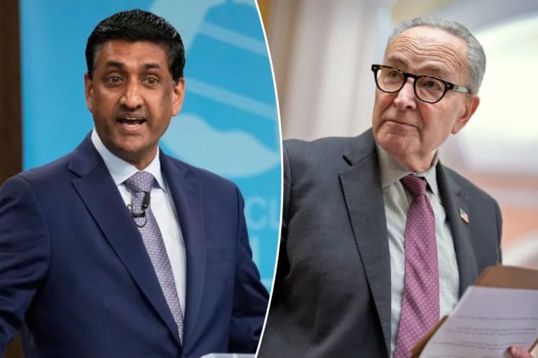 Ro Khanna and Chuck Schumer.