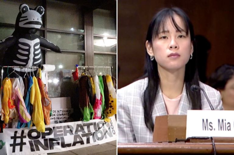 Mia Senate hearing collage