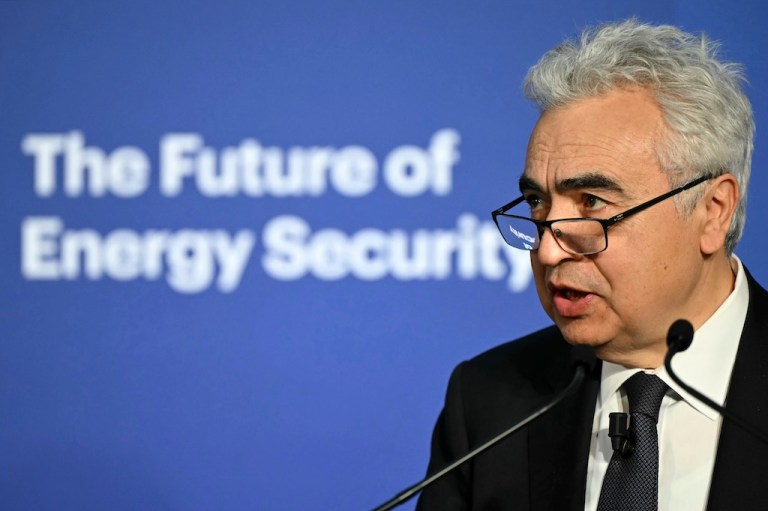 Fatih Birol, Executive Director of the International Energy Agency