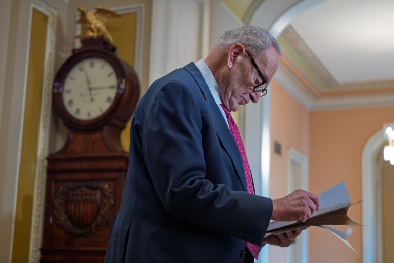 Senate Minority Leader Chuck Schumer (D-NY) looks over his notes.