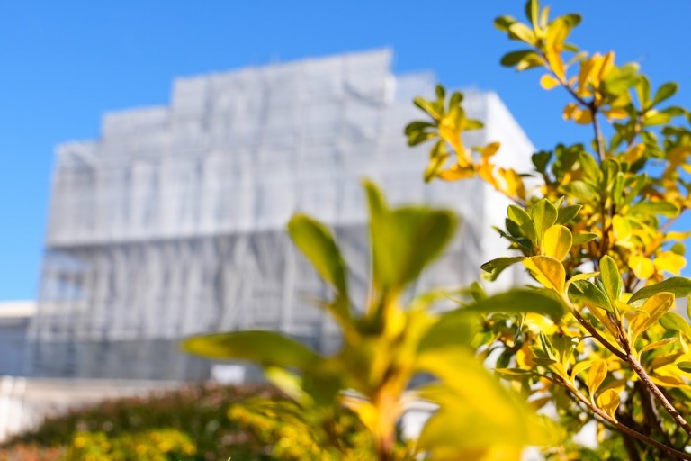 With leaves in the foreground, construction on the front of the U.S. Supreme Court continues Monday, Nov. 24, 2025, in Washington. (AP Photo/Mariam Zuhaib)