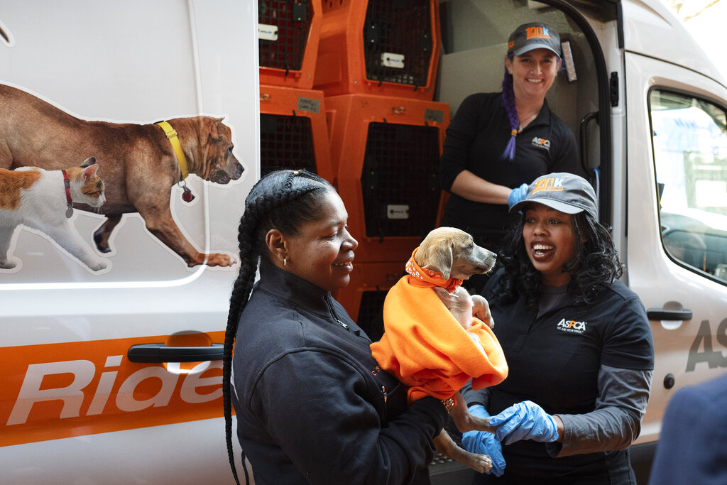 ASPCA sends scraps to local shelters despite millions collected in donations, says consumer watchdog