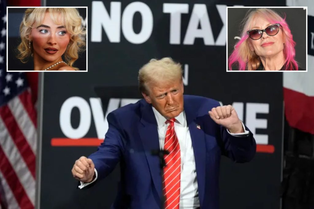 Musicians who spoke out against the Trump administration for using their music