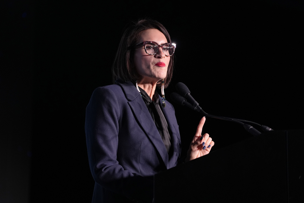 Democrats use deaths of Alex Pretti and Renee Good to fundraise