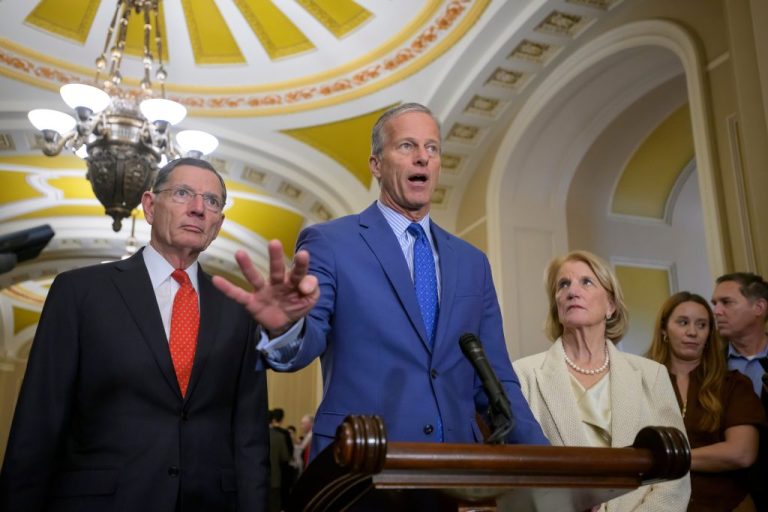 John Thune and Republicans.