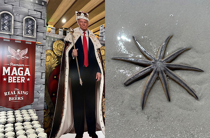 Left: MAGA Beer, one of many products promoting President Donald Trump, at Seed to Table, in Naples, Florida. The store offers fresh produce from local farms, several restaurants and bars, and live music. Right: Starfish are plentiful along the Gulf coast of Fort Myers Beach, in Florida’s 19th Congressional District. Particularly during the winter months when they reproduce. (Photos by David Mark)
