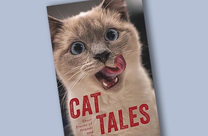 Cat tales life of cats