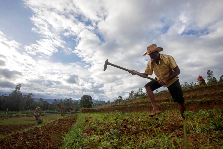 A vegetable farmer in Sri Lanka