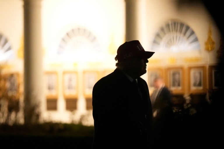President Donald Trump in the Rose Garden.