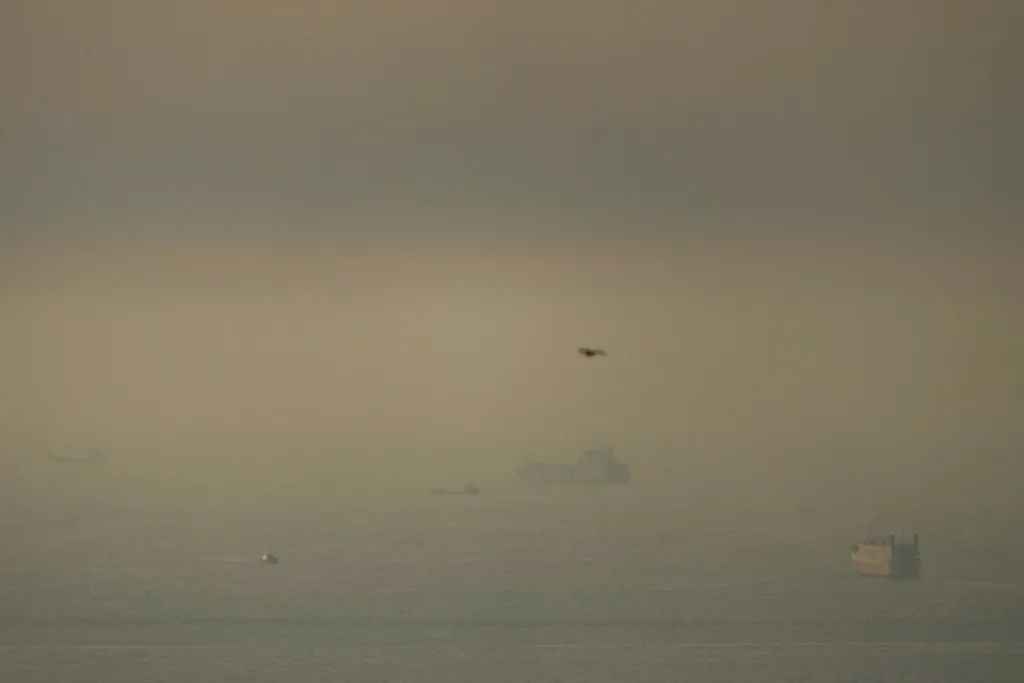 UK, France, Japan, Germany, and others voice readiness to contribute to secure Strait of Hormuz