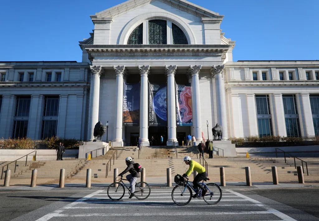 Bison statues cast in bronze are on permanent display outside the Smithsonian's National Museum of Natural History, Friday, March 20, 2026, in Washington. (AP Photo/Rahmat Gul)