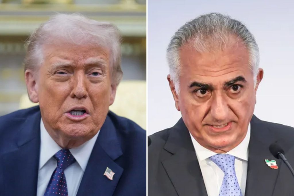 Trump says regime insider ‘more appropriate’ to lead Iran than Reza Pahlavi