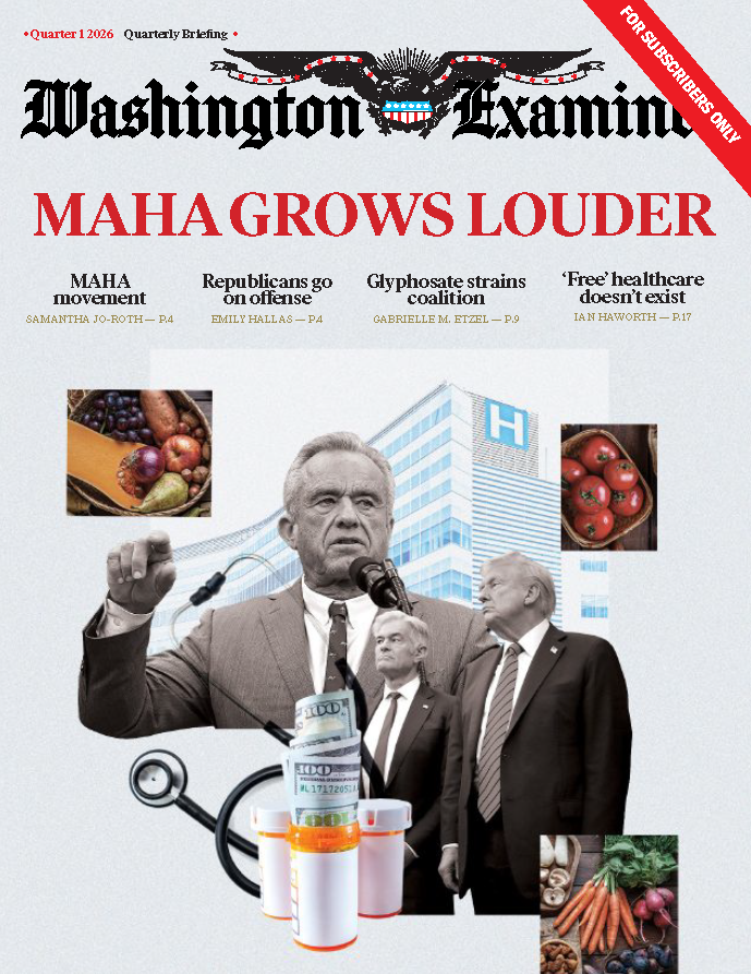 October 2025 Quarterly Briefing