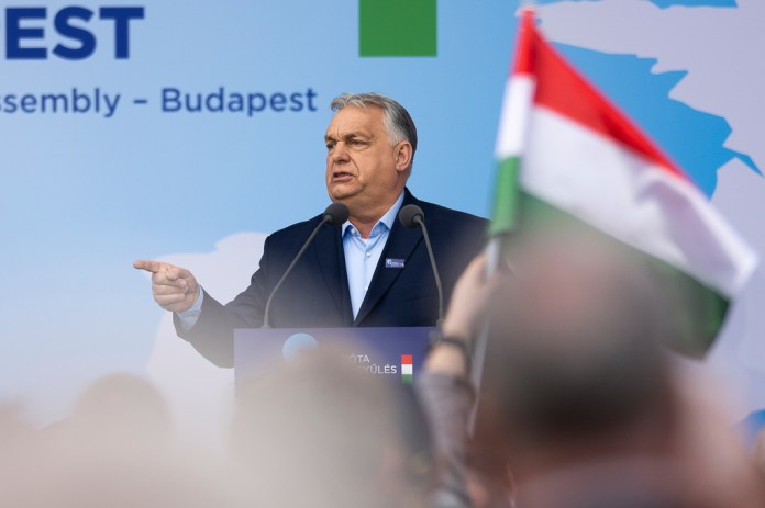 Orban speaks in front of a crowd of supporters