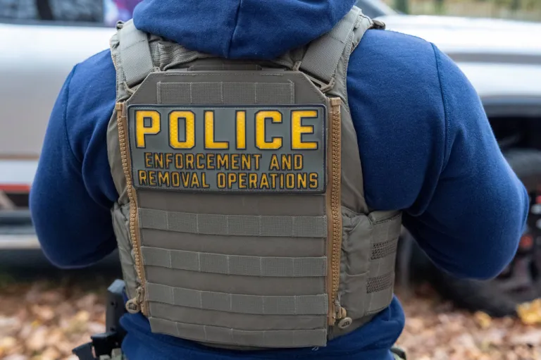 Federal law enforcement officers with Immigration and Customs Enforcement and Enforcement and Removal Operations conduct a traffic stop and detain people.